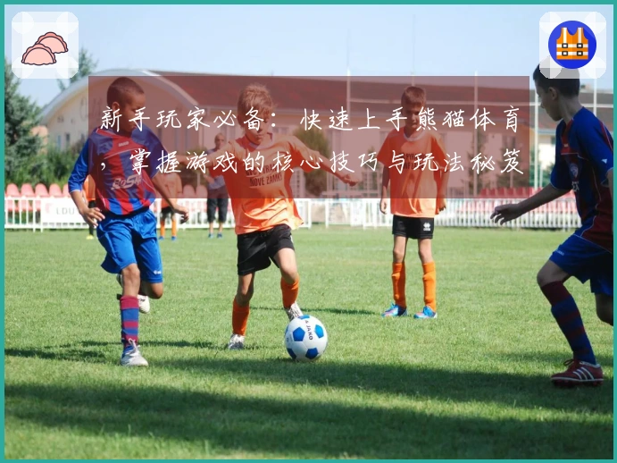 新手玩家必备：快速上手熊猫体育，掌握游戏的核心技巧与玩法秘笈