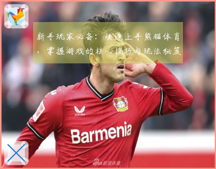 新手玩家必备：快速上手熊猫体育，掌握游戏的核心技巧与玩法秘笈